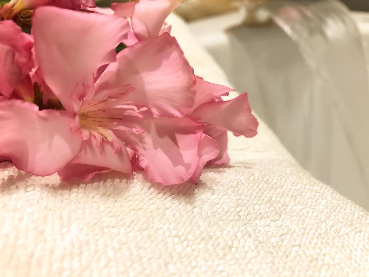 Hotel Arifi شكودر المظهر الخارجي الصورة