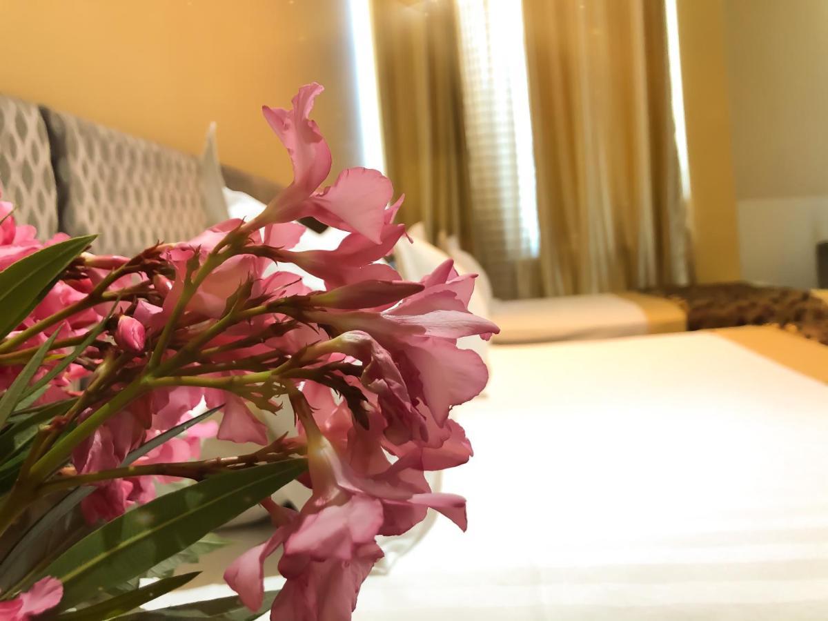 Hotel Arifi شكودر المظهر الخارجي الصورة
