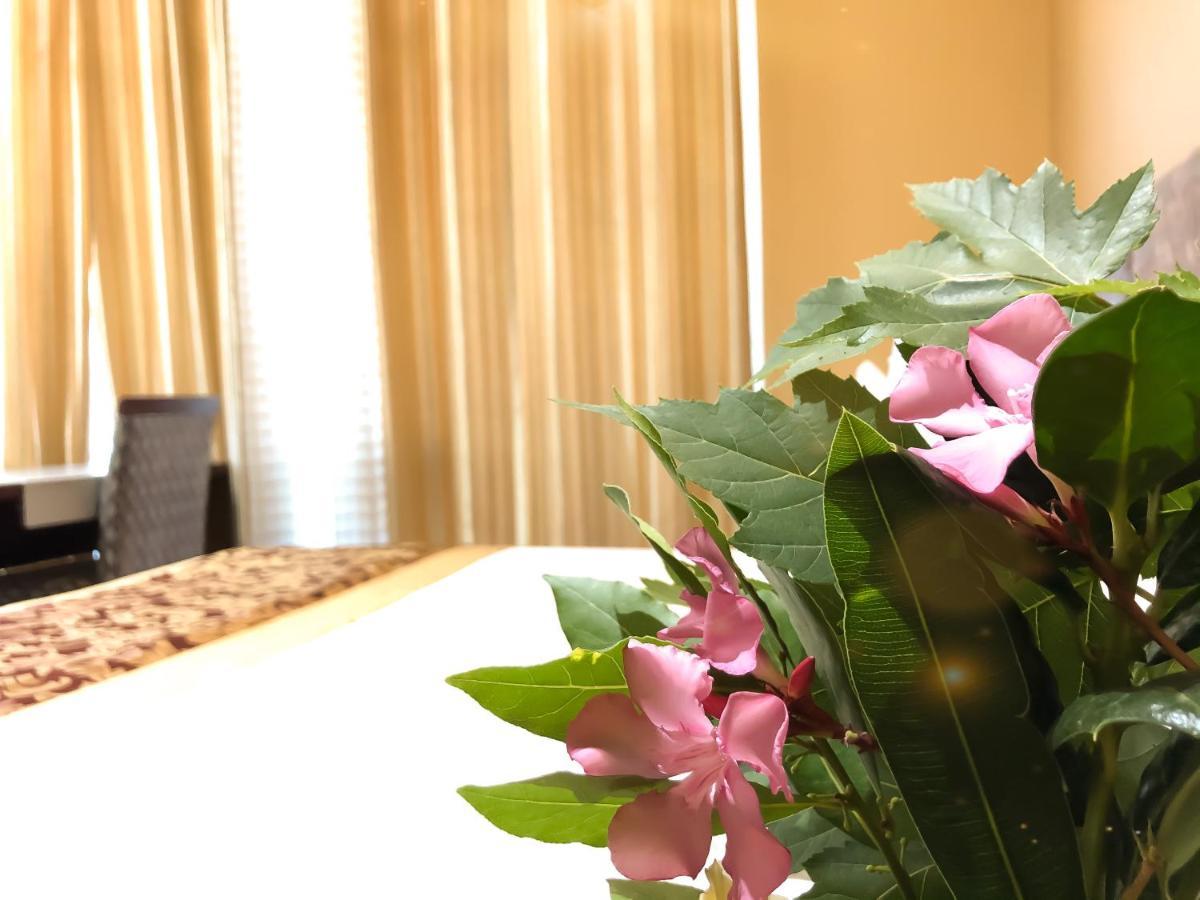 Hotel Arifi شكودر المظهر الخارجي الصورة